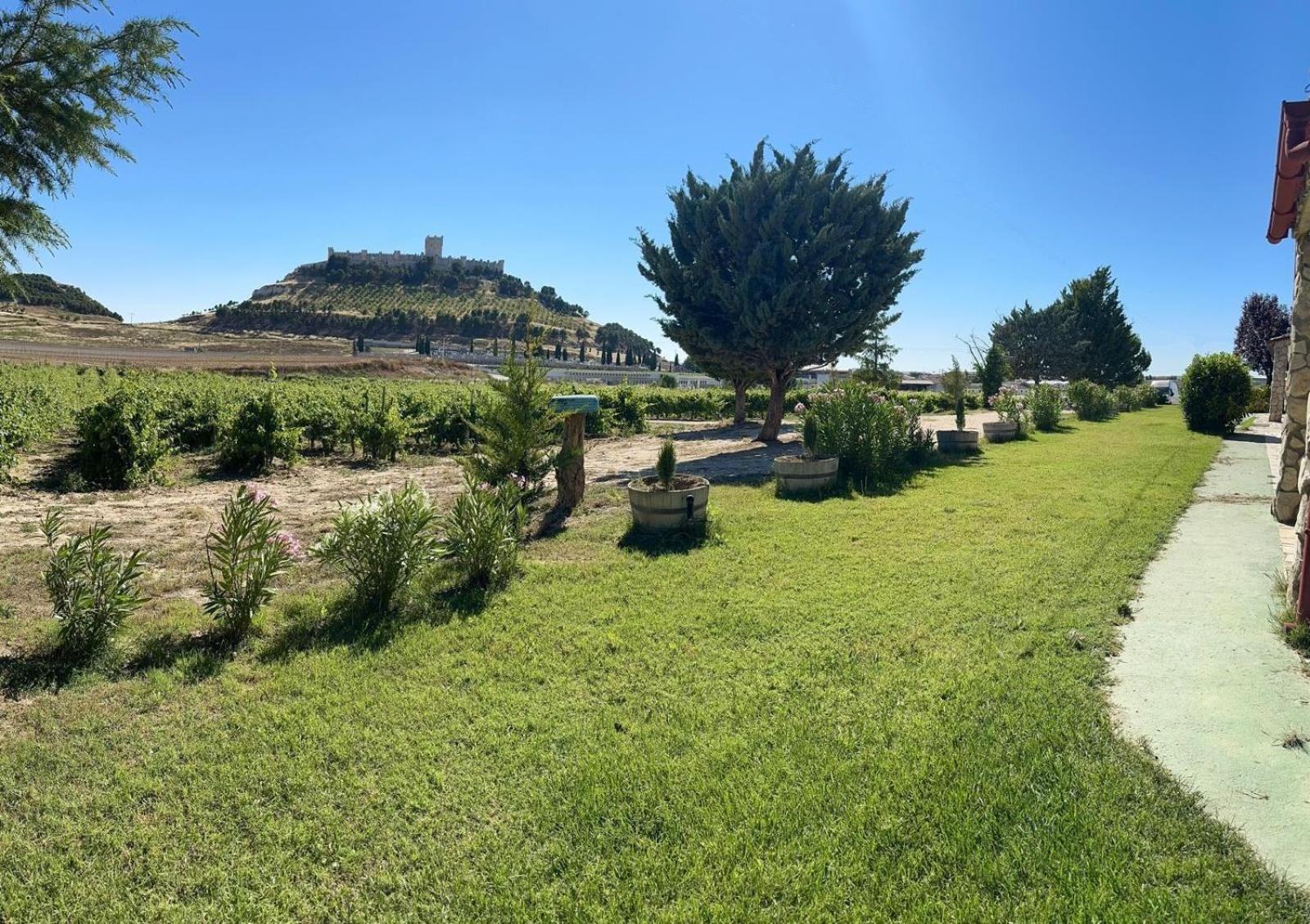Finca Entrevinedos De Bodegas Marcos Peñafiel Eksteriør billede